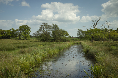 Carlton Marshes nature reserve Suffolk Wildlife Trust