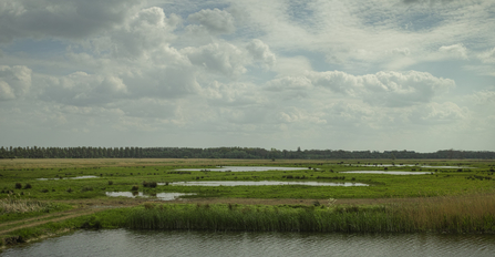 Carlton Marshes nature reserve Suffolk Wildlife Trust