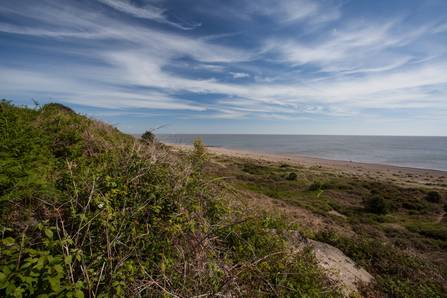 Gunton Warren Suffolk Wildlife Trust