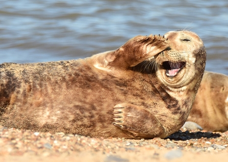 Suffolk Wildlife Trust