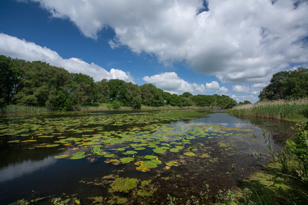 Suffolk Wildlife Trust