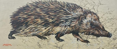 Suffolk Wildlife Trust