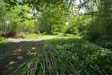 Suffolk Wildlife Trust