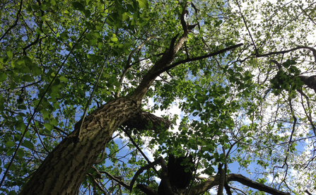 Suffolk Wildlife Trust