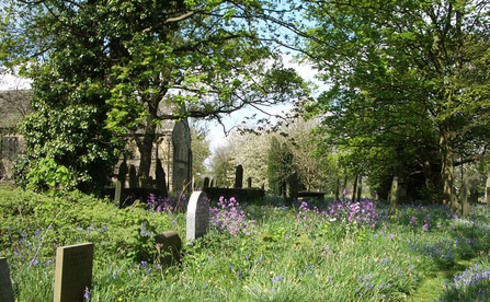 Suffolk Wildlife Trust