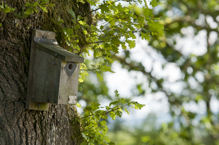 Suffolk Wildlife Trust