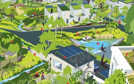 Suffolk Wildlife Trust