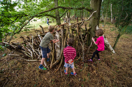 Suffolk Wildlife Trust