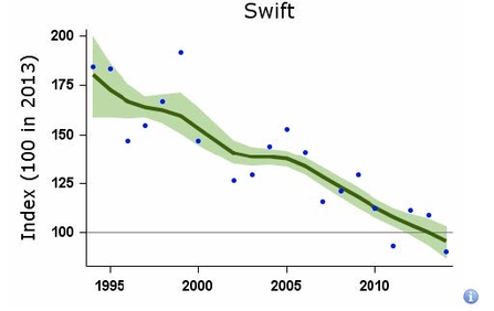 Swift decline graph