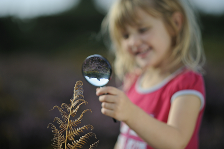 Suffolk Wildlife Trust