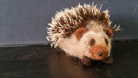 Suffolk Wildlife Trust