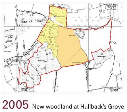 Suffolk Wildlife Trust