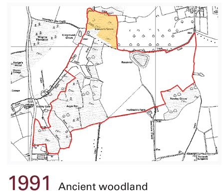 Suffolk Wildlife Trust