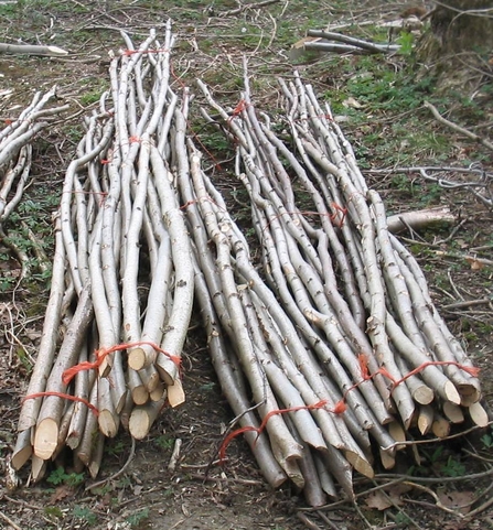 Suffolk Wildlife Trust