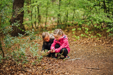 Suffolk Wildlife Trust