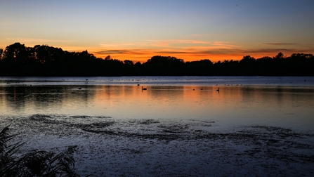 Suffolk Wildlife Trust