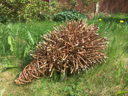 Woven hedgehog