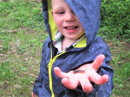 Suffolk Wildlife Trust