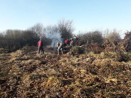 Work party burning scrub at Oulton Marshes
