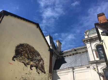 ATM hedgehog mural