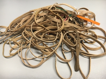 Elastic bands from study area