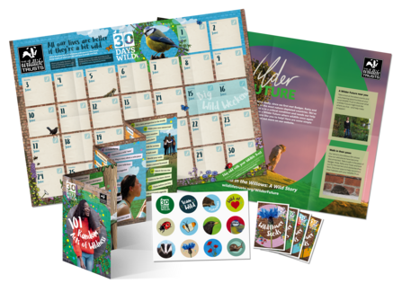 30 Days Wild individual pack