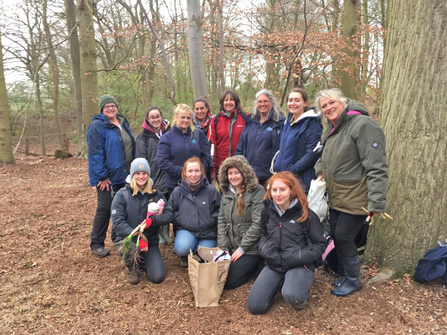 Suffolk Wildlife Trust