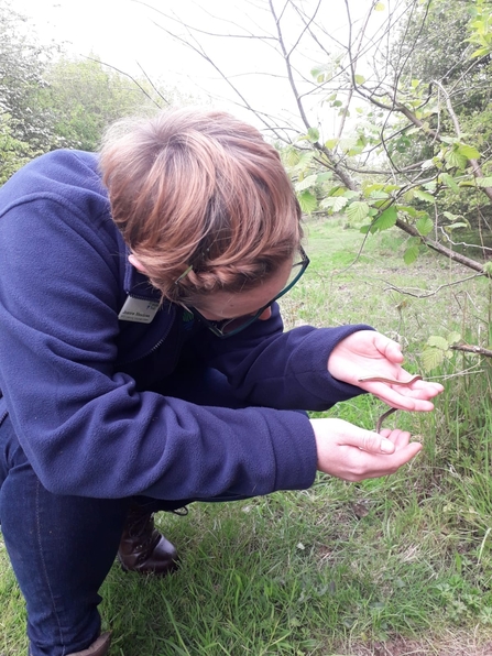 Suffolk Wildlife Trust