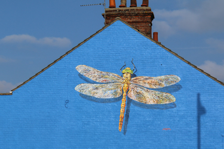 Norfolk hawker dragonfly mural by ATM (photo: Kevin Coote)
