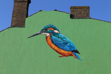 Kingfisher mural by ATM (photo: Kevin Coote)