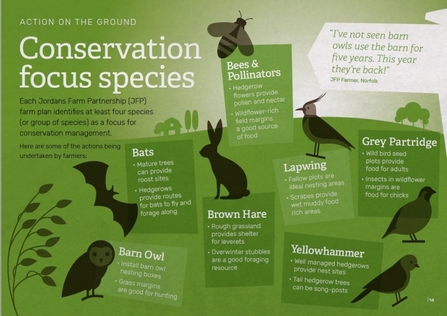 Jordans conservation species infographic