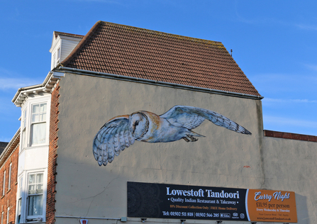 Barn owl mural by ATM (photo: Kevin Coote)