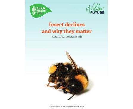 Insect declines and why they matter report