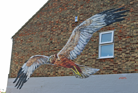 Marsh harrier mural by ATM (photo: Kevin Coote)