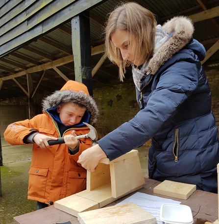 Nest box building