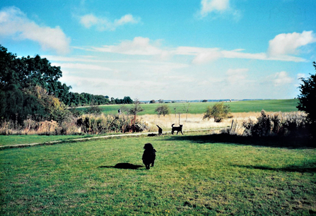 Eastward Ho Felixstowe