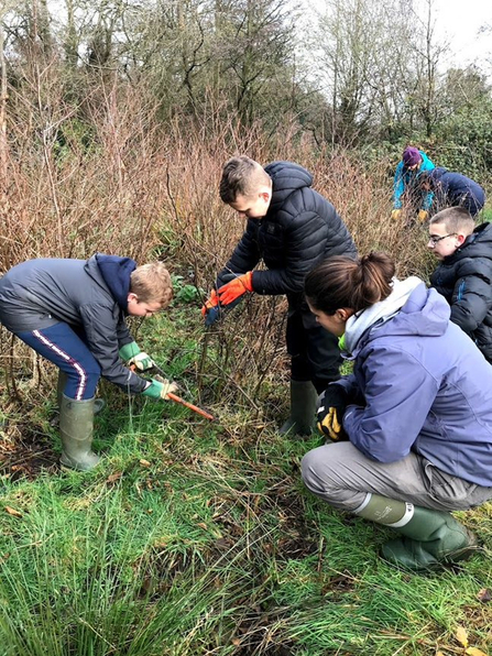 Suffolk Wildlife Trust