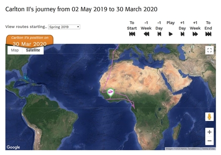 Map showing Carlton II the cuckoo's journey so far 