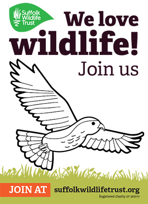 Suffolk Wildlife Trust Join Us buzzard poster image