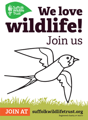 Suffolk Wildlife Trust Join Us swallow poster image