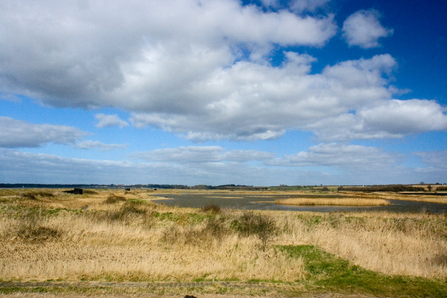 Trimley Marshes - Steve Alyward 