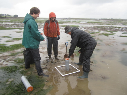 Benthic invertebrate surveys at Hazlewood Marshes - Andrew Excell