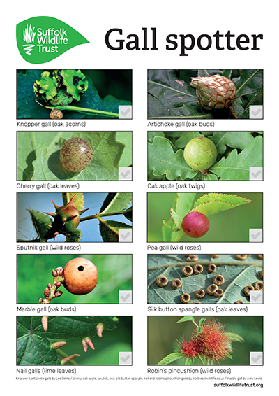 Gall spotter sheet