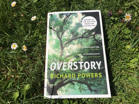 The Overstory book - Wild Reads