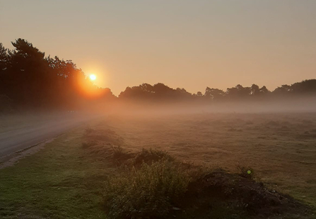 Knettishall Heath sunrise - Kim Wippel