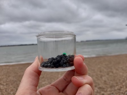 Nurdles found on Suffolk coast - Bev Rogers 