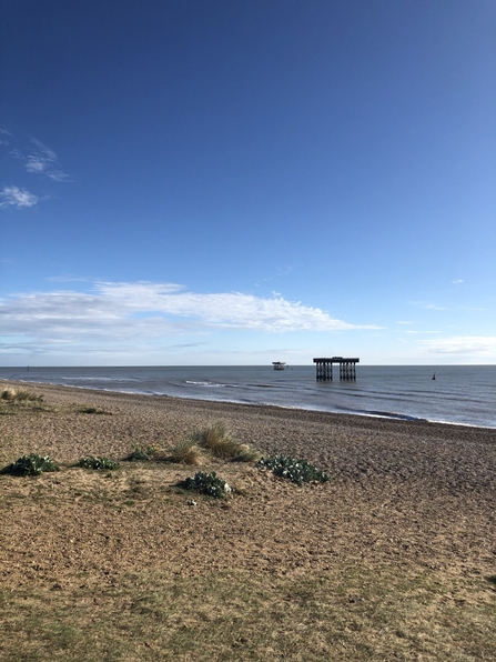 Sizewell beach 