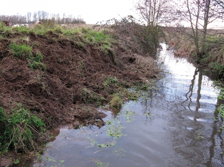 Tenpenny Brook - Darren Tansley