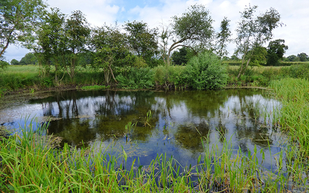 heydon pond