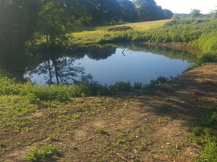 recently restored fromer irrigation pond, one of three together